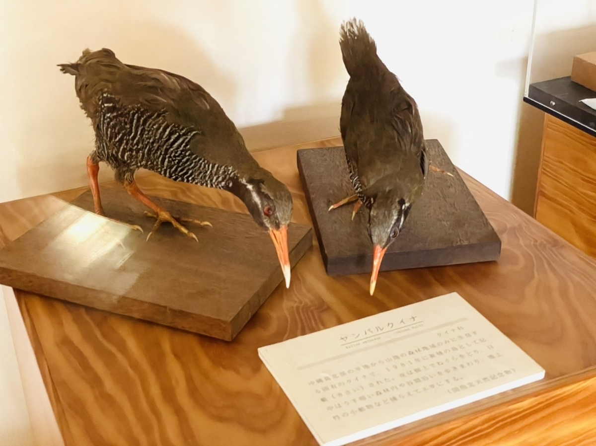 f:id:thecorner:20210404190336j:plain