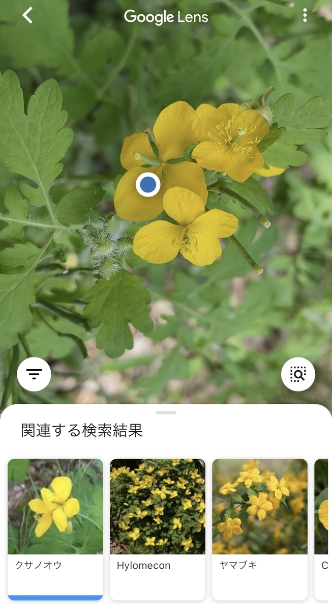 f:id:thecorner:20210508202348j:plain