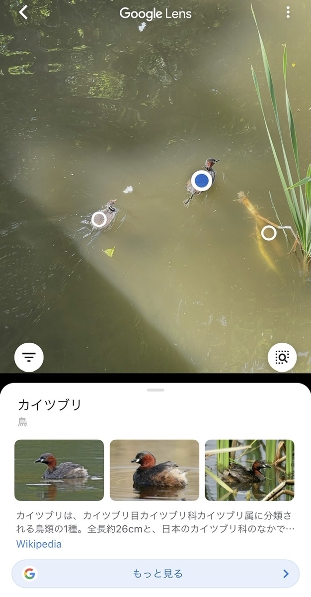 f:id:thecorner:20210508202417j:plain