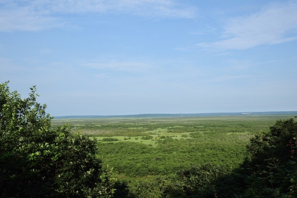 f:id:thecorner:20210825133543j:plain