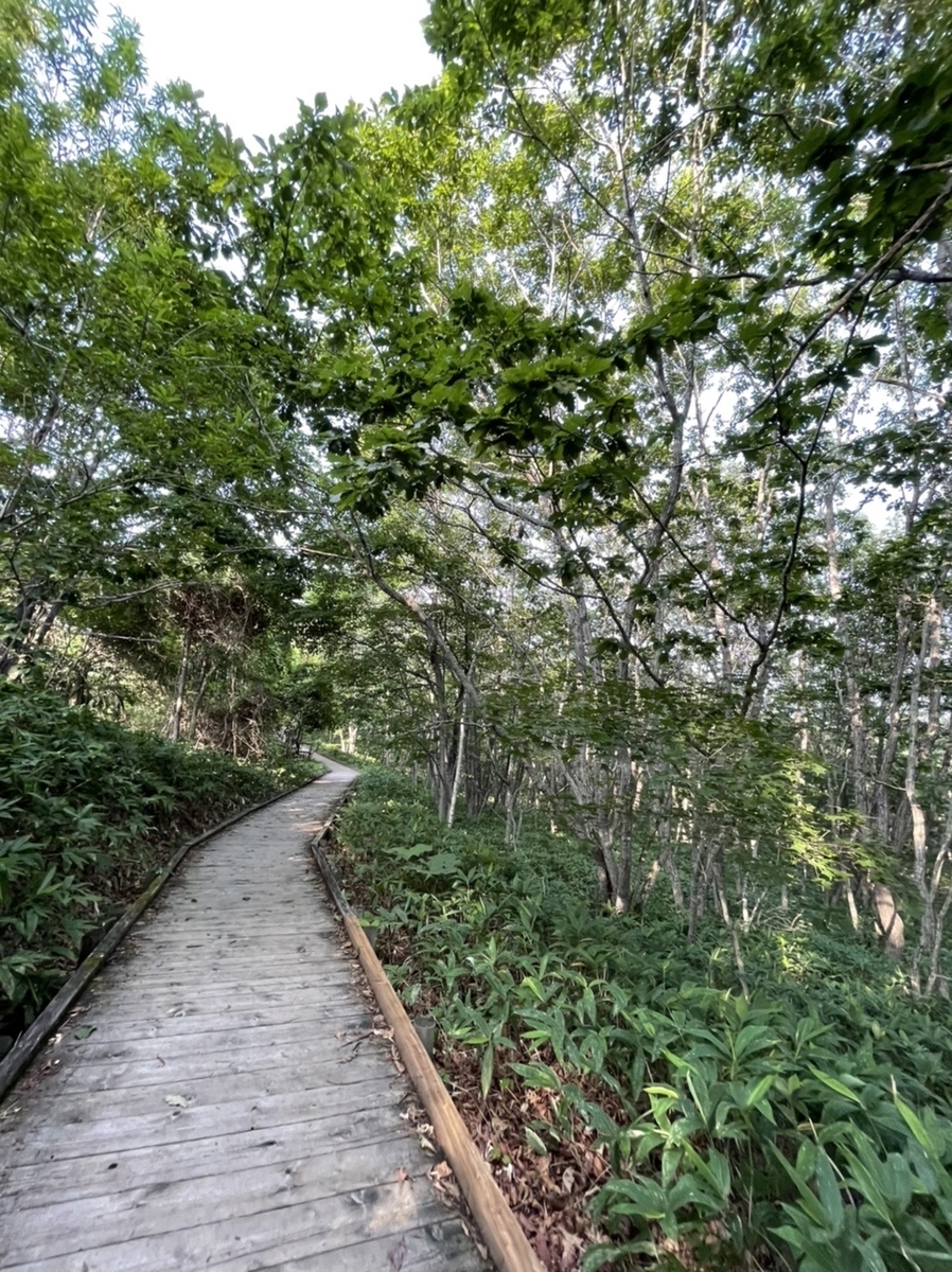 f:id:thecorner:20210825163719j:plain