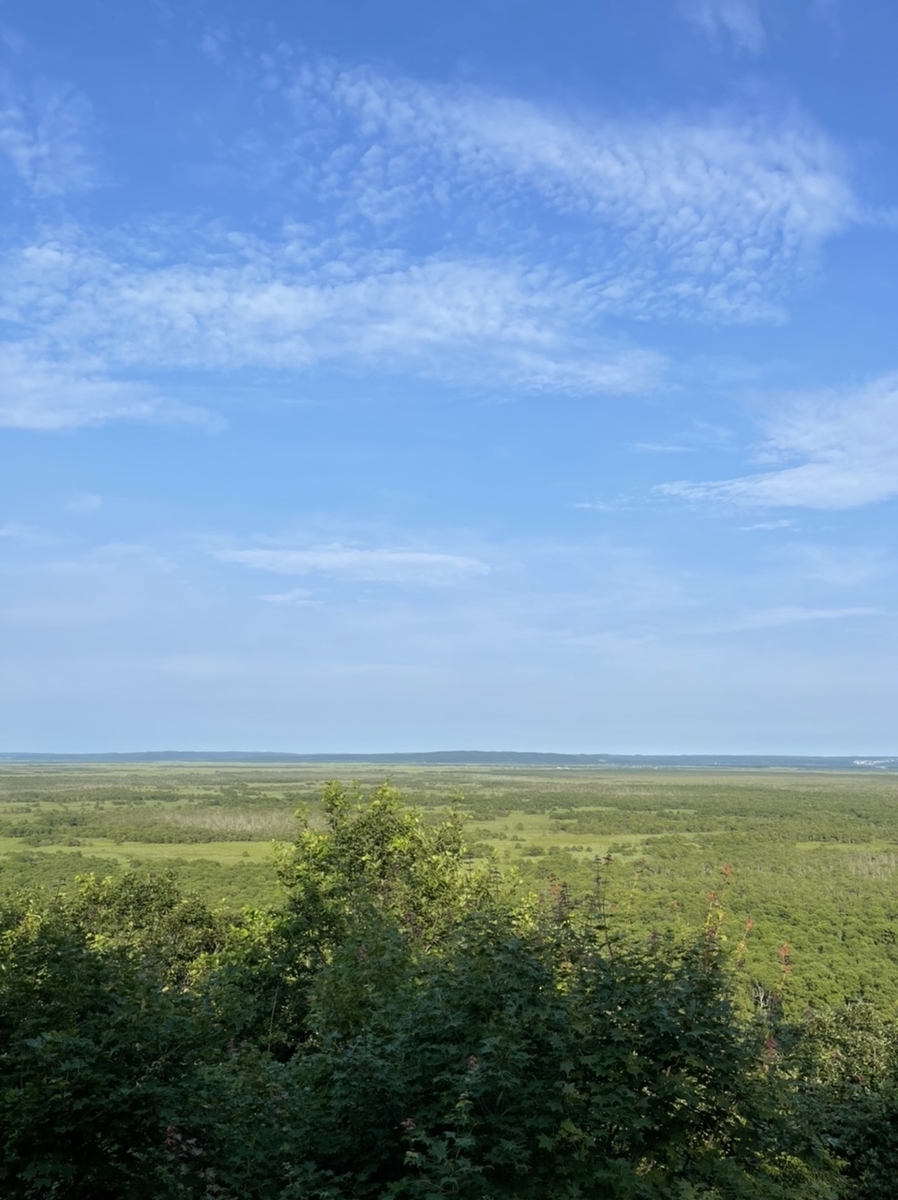 f:id:thecorner:20210825164358j:plain