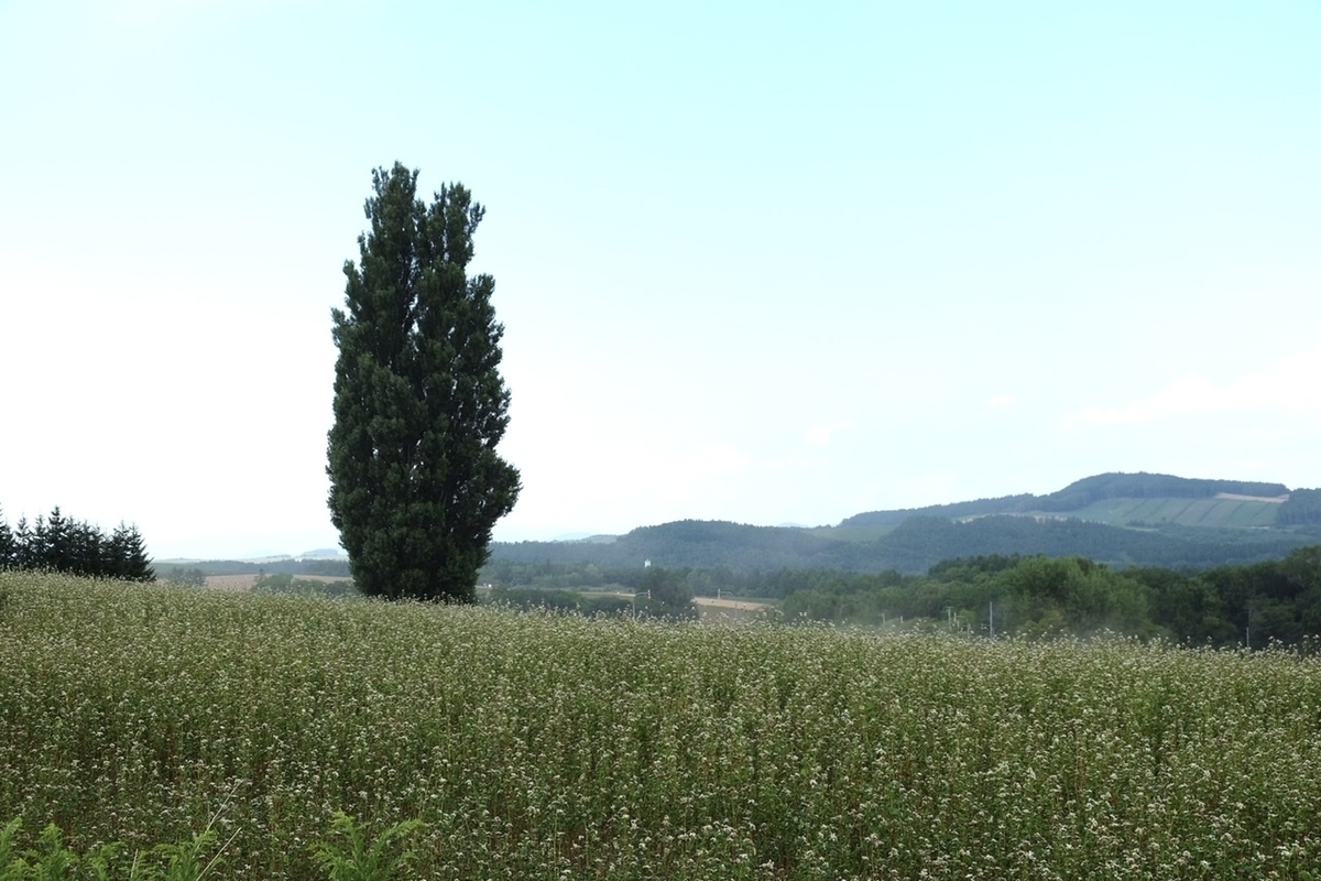 f:id:thecorner:20210925211127j:plain