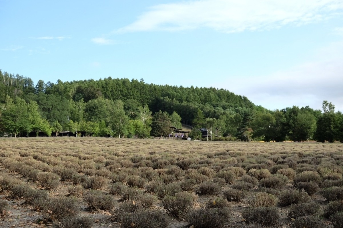 f:id:thecorner:20211006165858j:plain