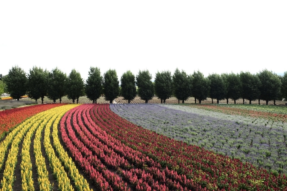 f:id:thecorner:20211006165951j:plain