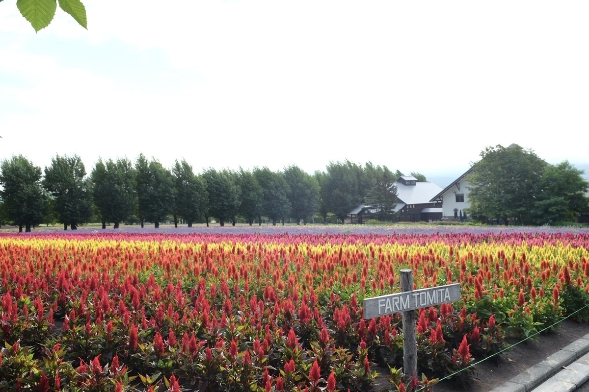 f:id:thecorner:20211006170018j:plain