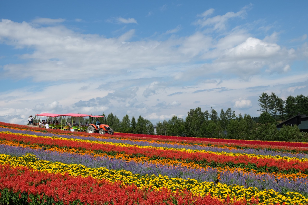 f:id:thecorner:20211006170926j:plain