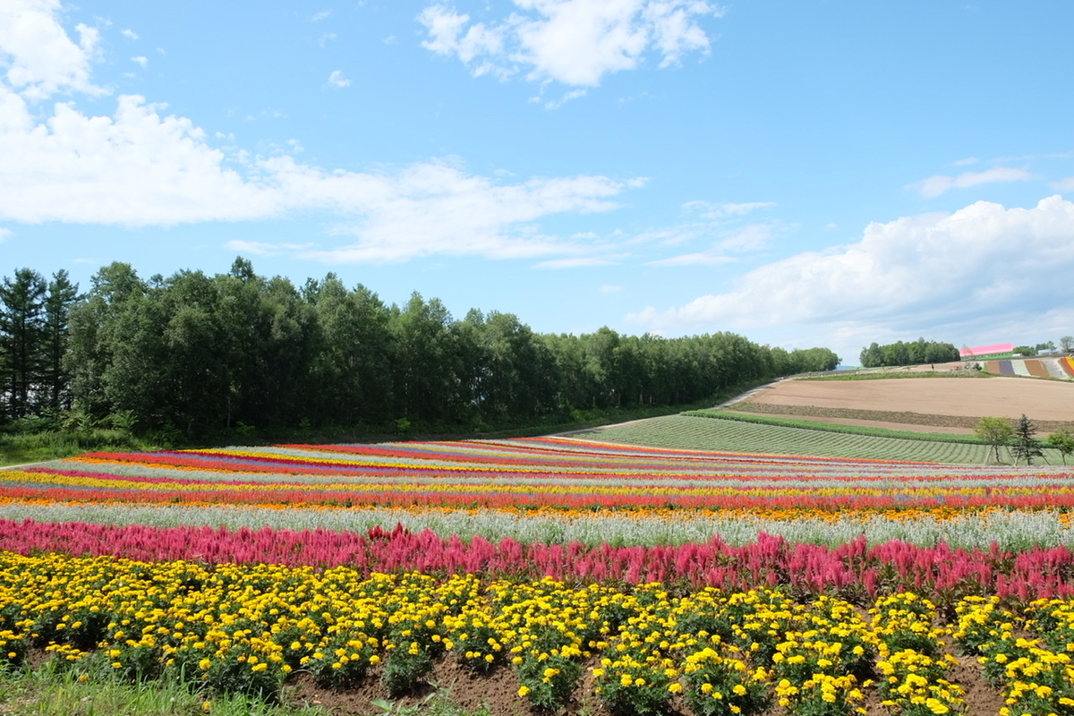 f:id:thecorner:20211006171207j:plain