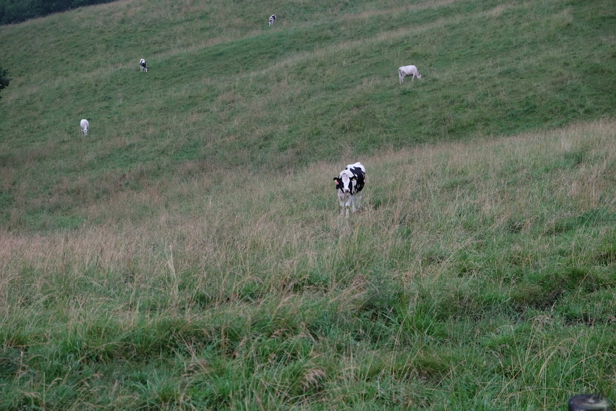 f:id:thecorner:20211006171521j:plain