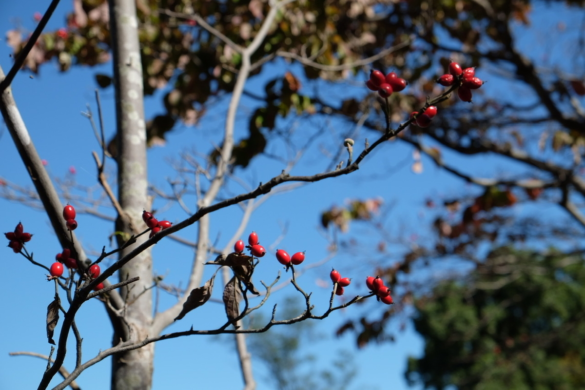 f:id:thecorner:20211020152117j:plain