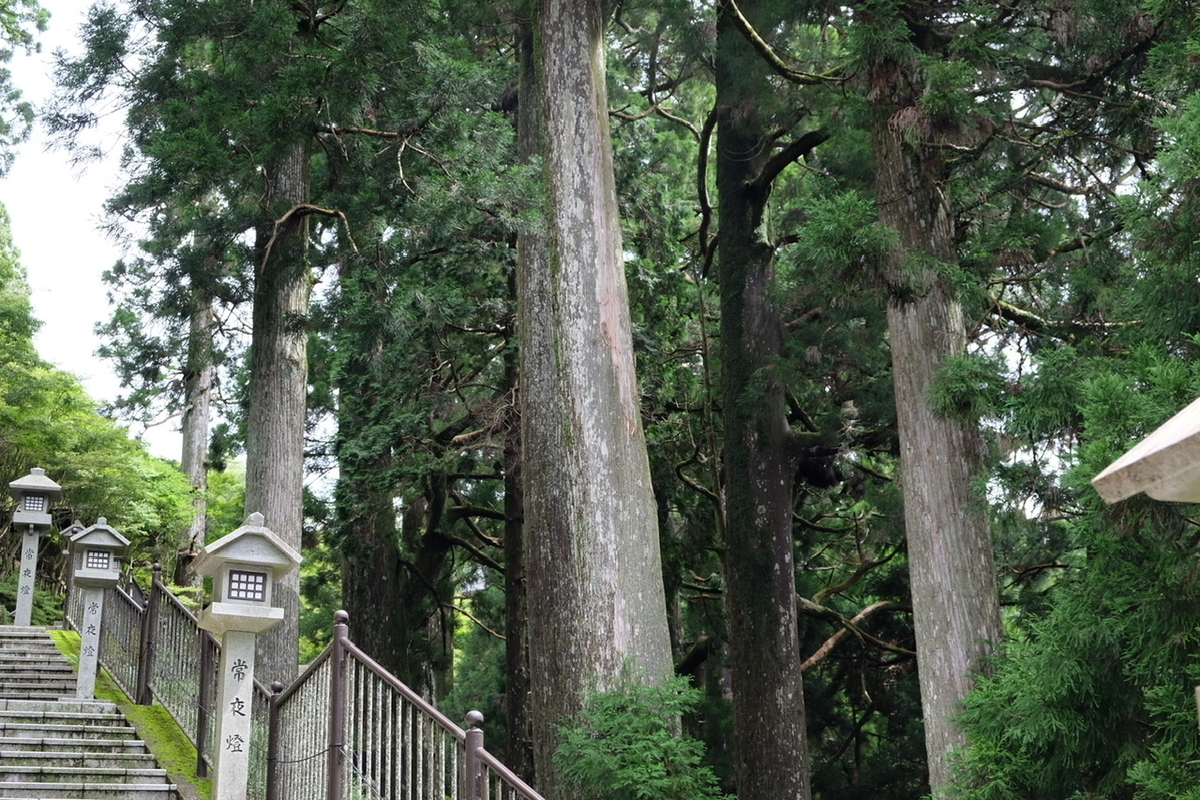 f:id:thecorner:20211025103401j:plain