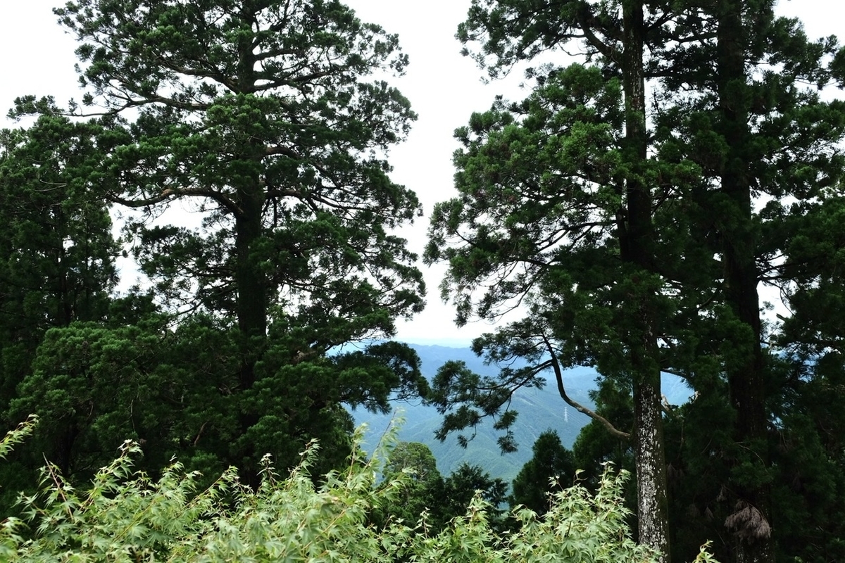 f:id:thecorner:20211025103502j:plain