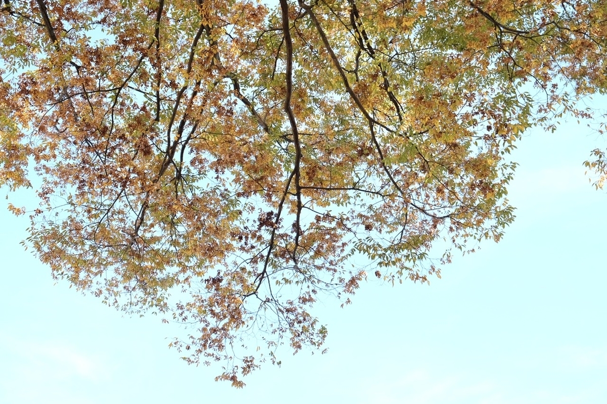 f:id:thecorner:20211107172312j:plain