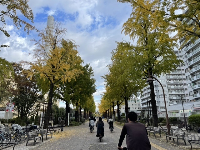 f:id:thecorner:20211114192246j:plain