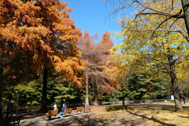 f:id:thecorner:20211114192553j:plain