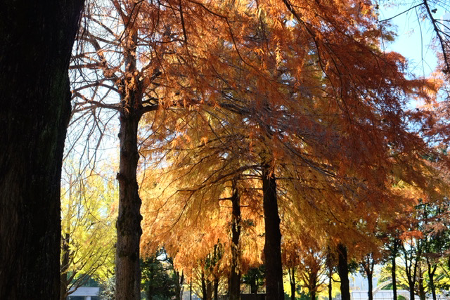 f:id:thecorner:20211114192619j:plain