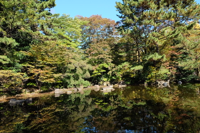 f:id:thecorner:20211114192734j:plain