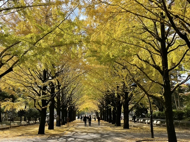 f:id:thecorner:20211114192902j:plain