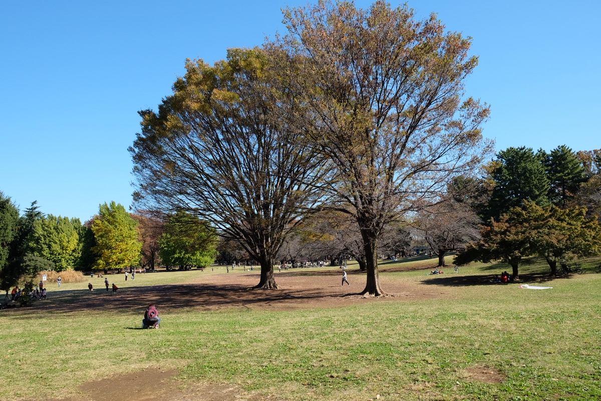 f:id:thecorner:20211114193222j:plain