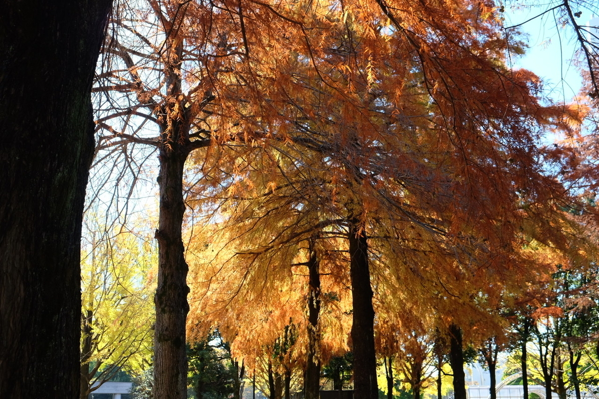 f:id:thecorner:20211114193447j:plain