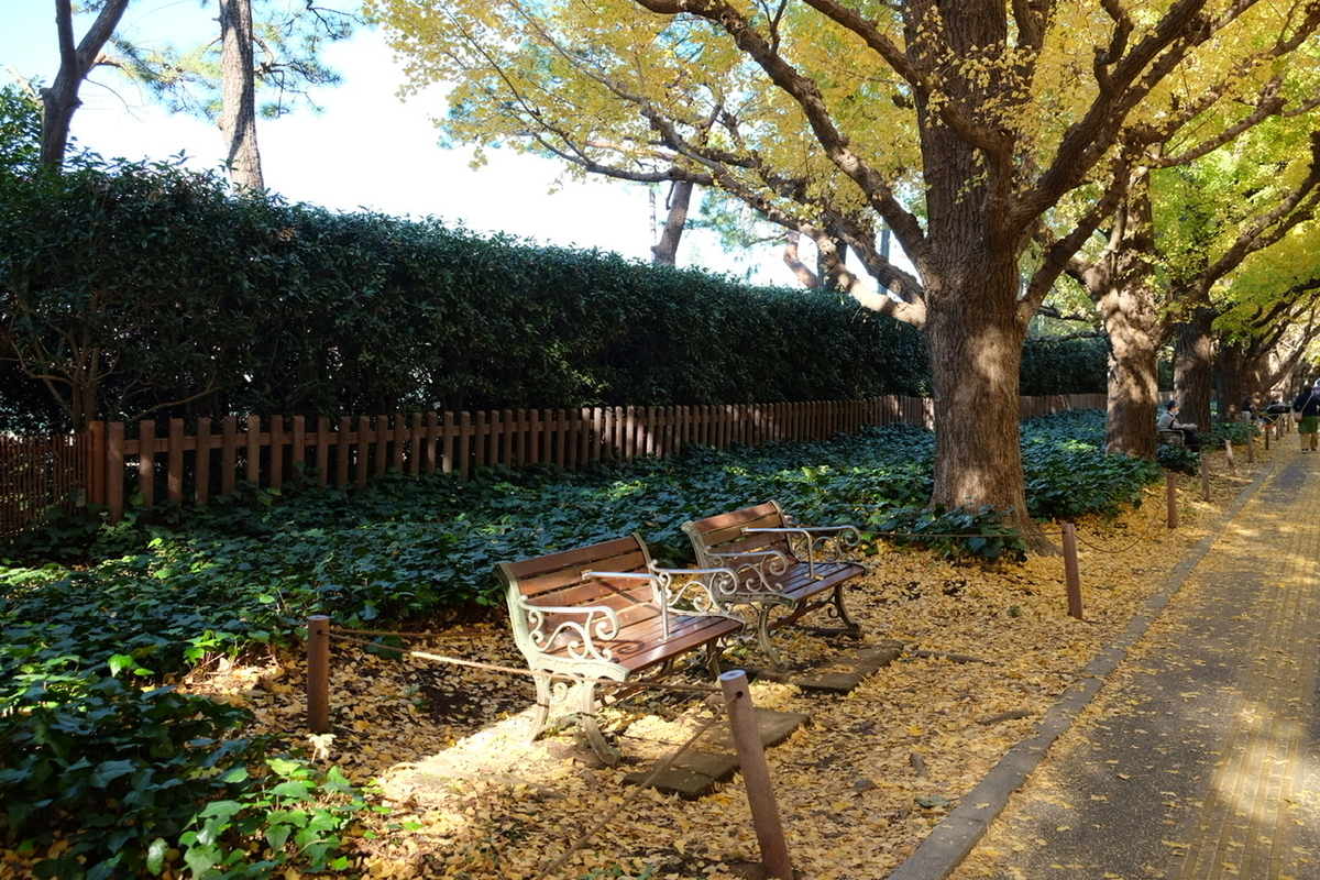 f:id:thecorner:20211116212631j:plain