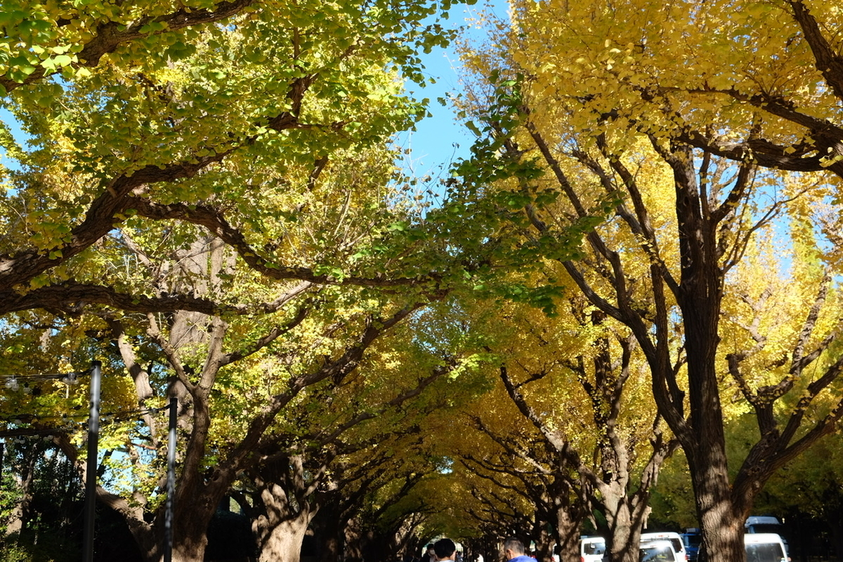 f:id:thecorner:20211116212654j:plain