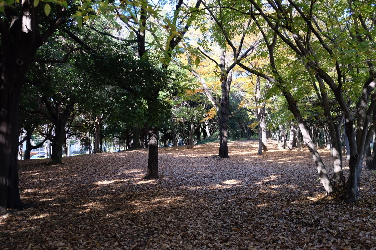 f:id:thecorner:20211124200049j:plain