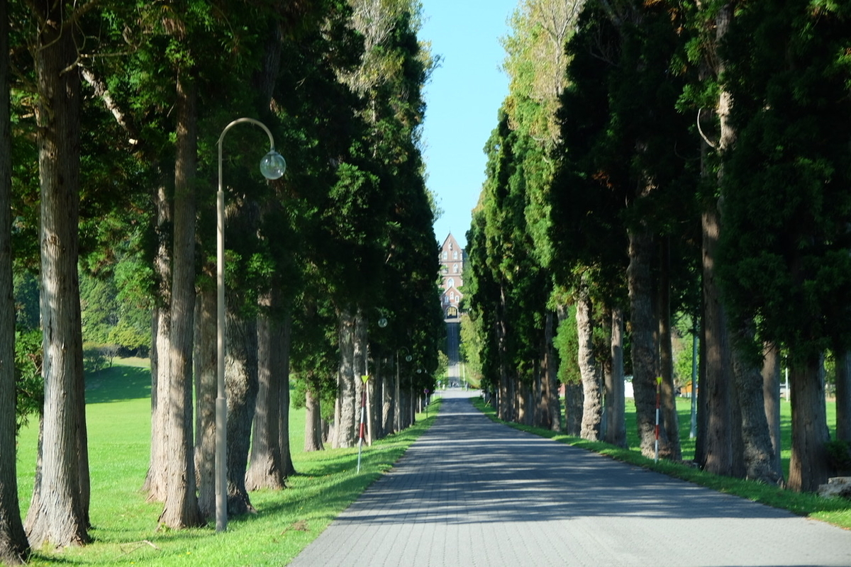 f:id:thecorner:20211209195301j:plain