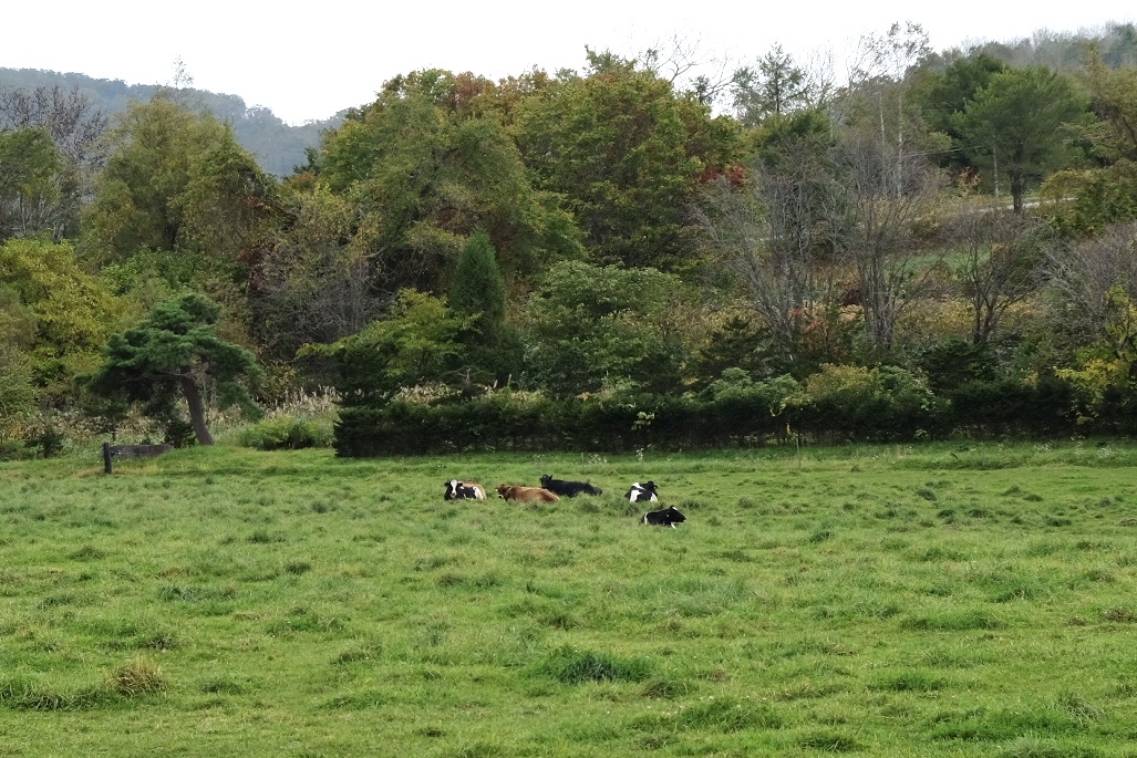 f:id:thecorner:20211213205919j:plain