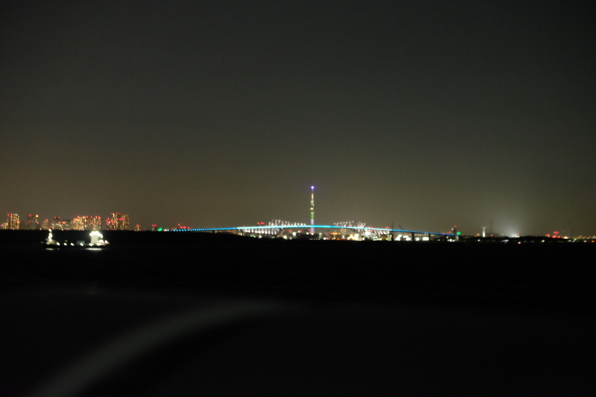 さるびあ丸から見る夜景 スカイツリー