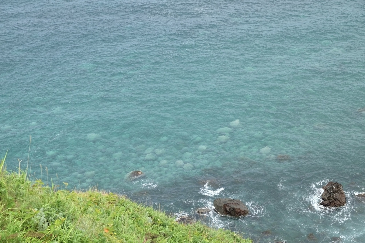 透明度の高い積丹の海