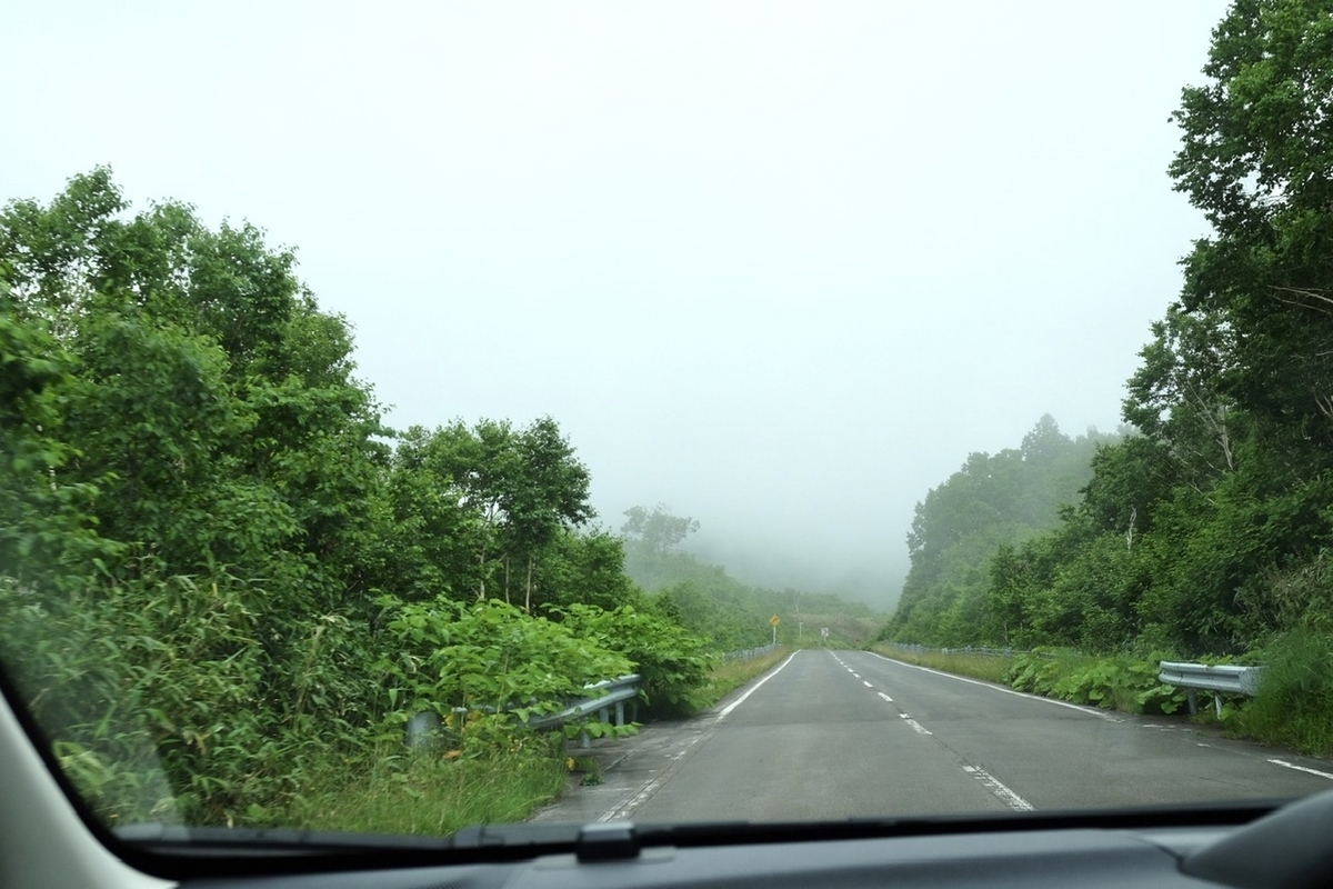 雨のニセコパノラマライン