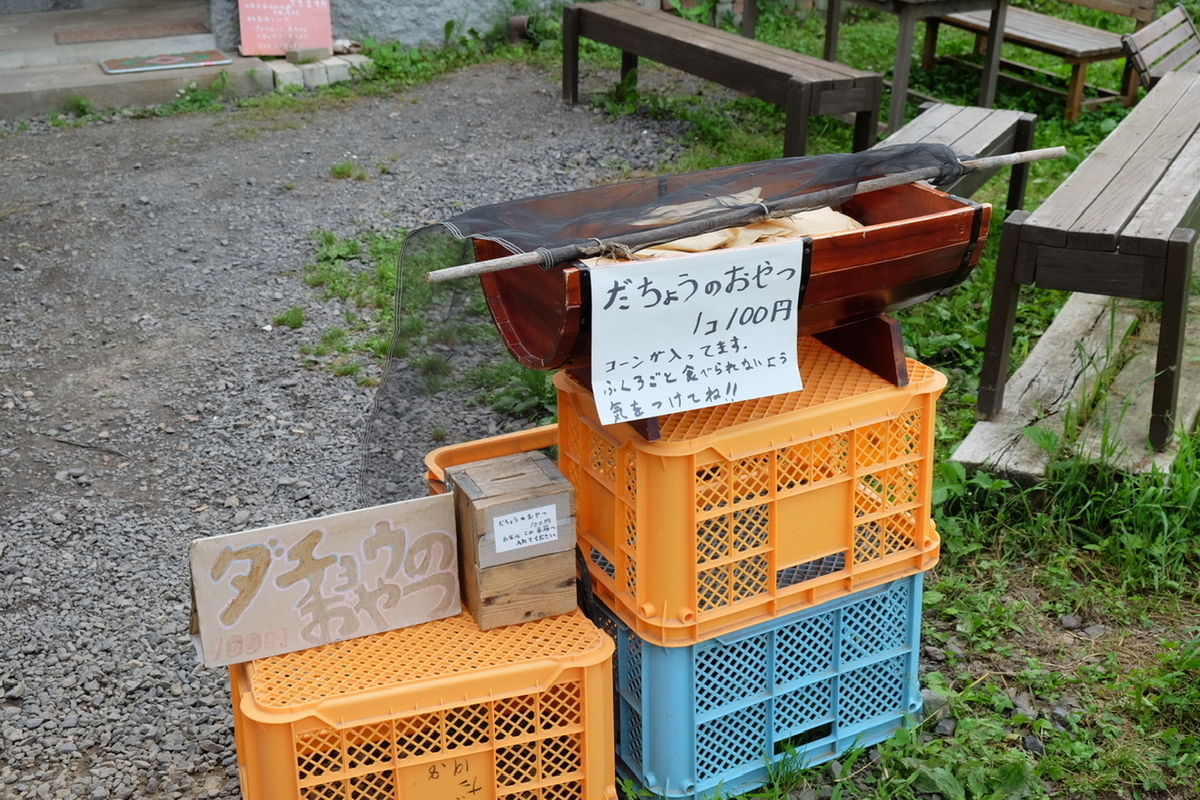 だちょうの餌やり体験