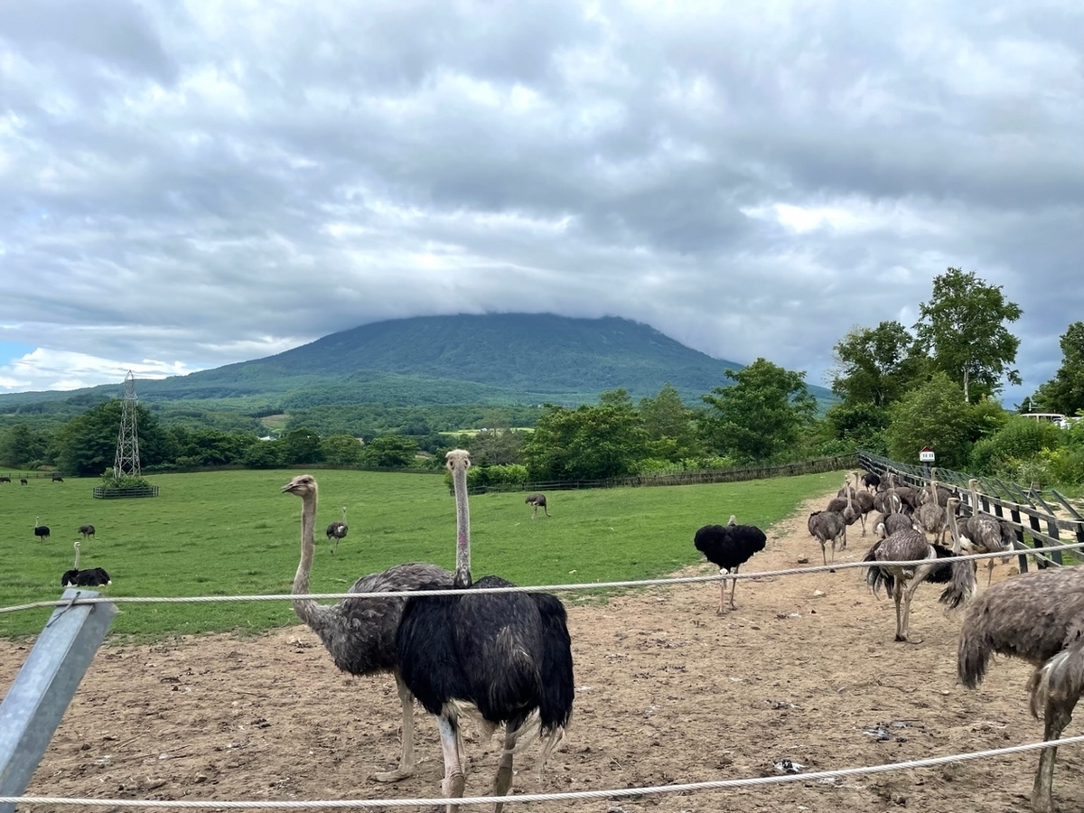 第二有島だちょう牧場