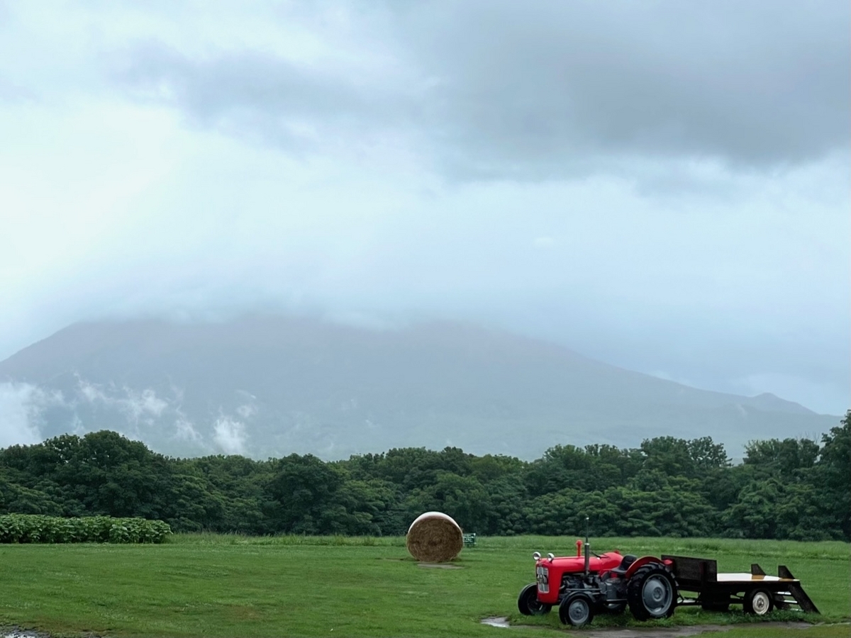 高橋牧場と羊蹄山