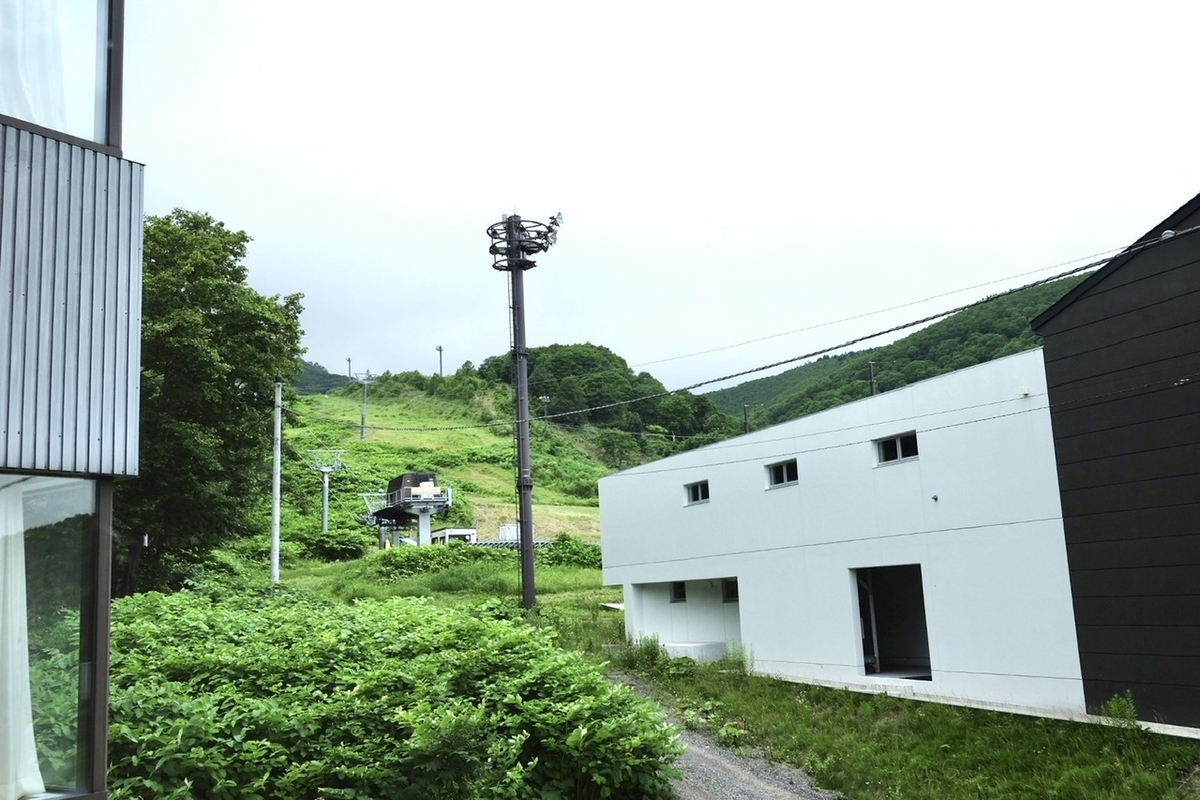 木ニセコ裏のゲレンデ