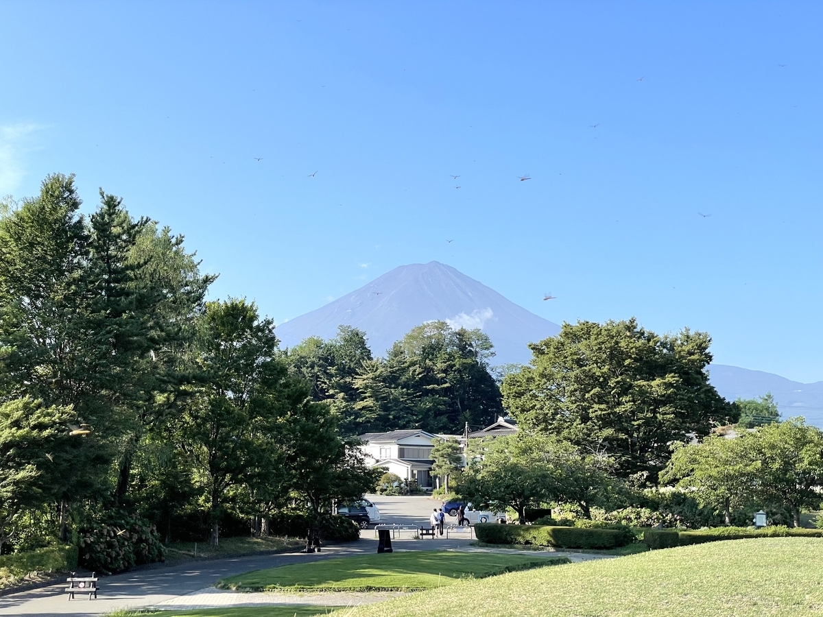 八木崎公園から見える富士山