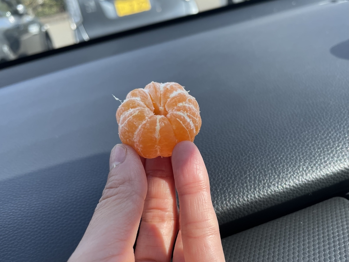 桜島こみかん
