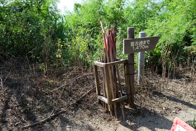 宮古崎の杖