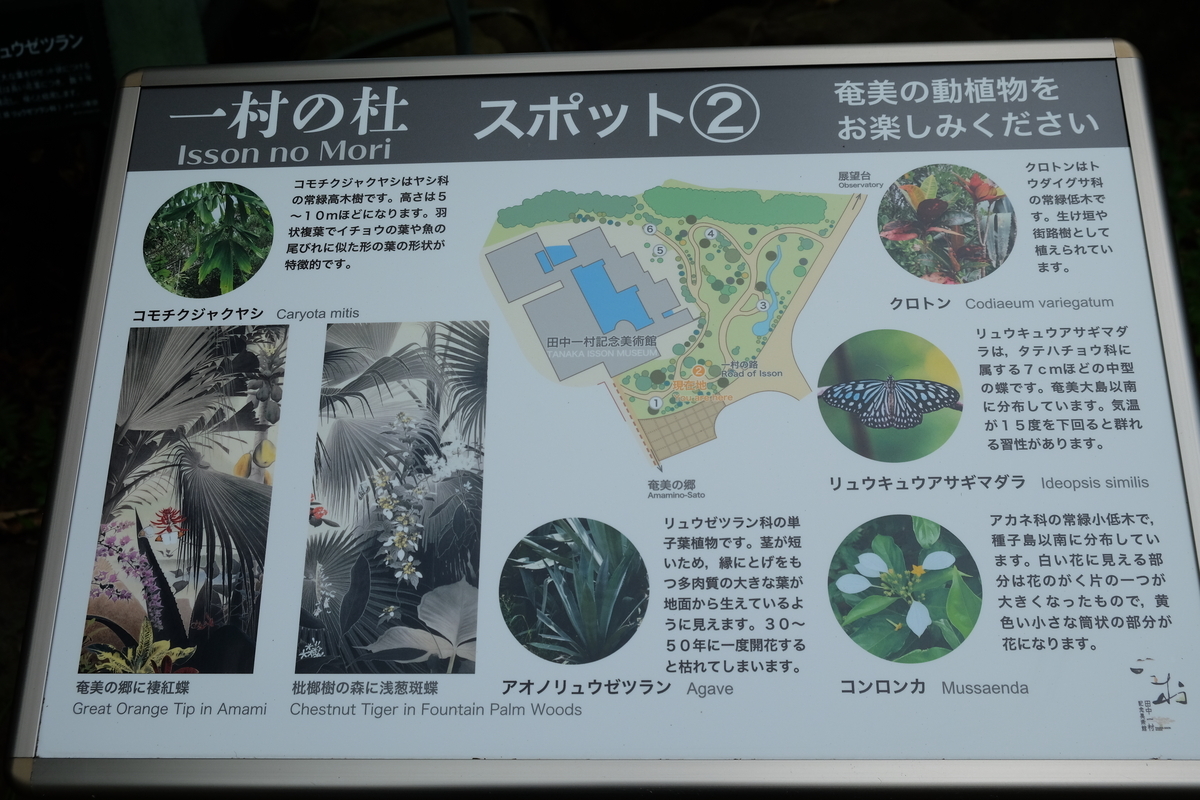 田中一村植物園