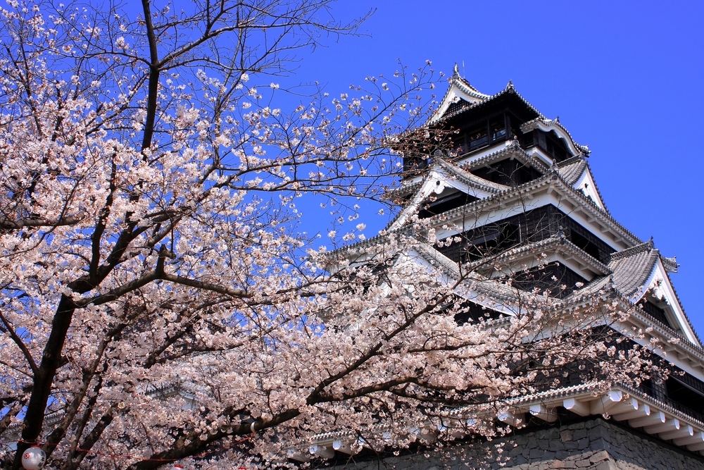 【2019年】熊本のおすすめ酒屋・ワインショップ5選|theDANN media