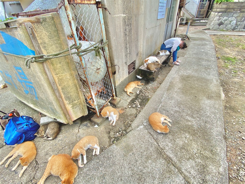 f:id:thedreamplanet:20201003181950j:image
