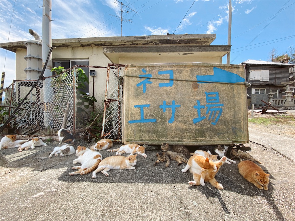f:id:thedreamplanet:20201005130152j:image