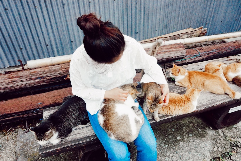 f:id:thedreamplanet:20201006133502j:image