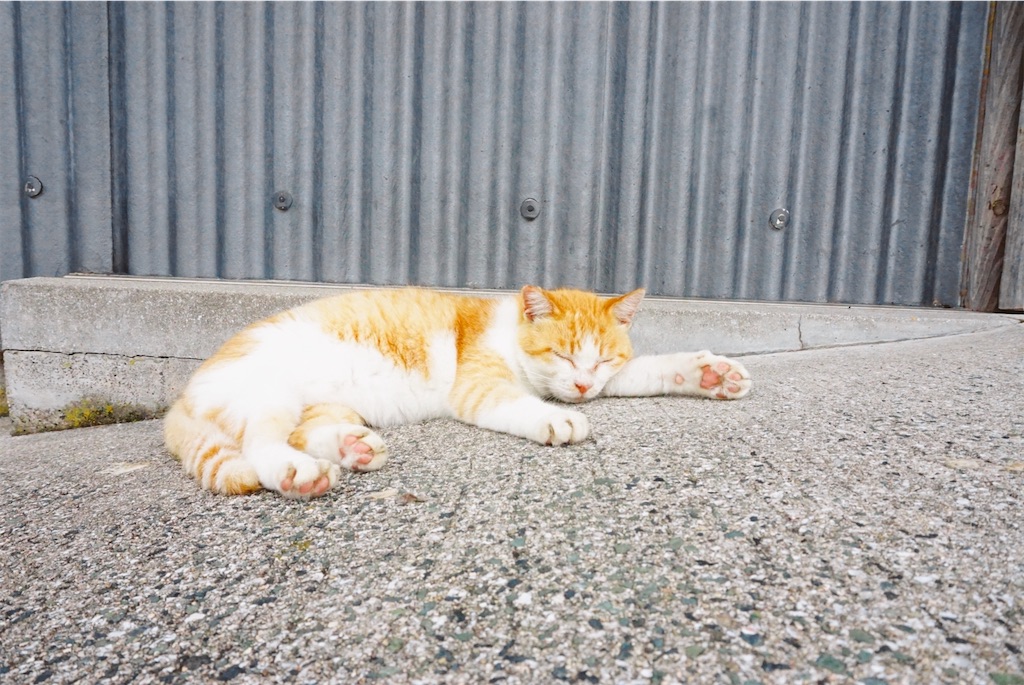 f:id:thedreamplanet:20201006133739j:image