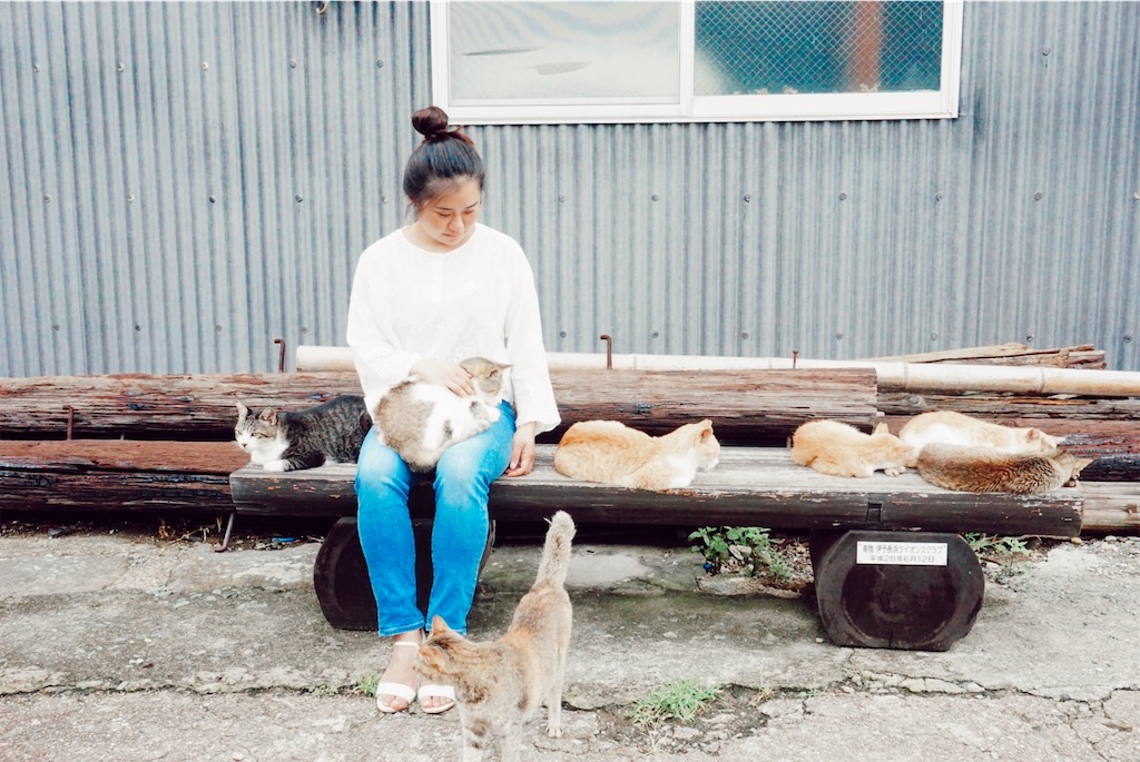 f:id:thedreamplanet:20201008144245j:image