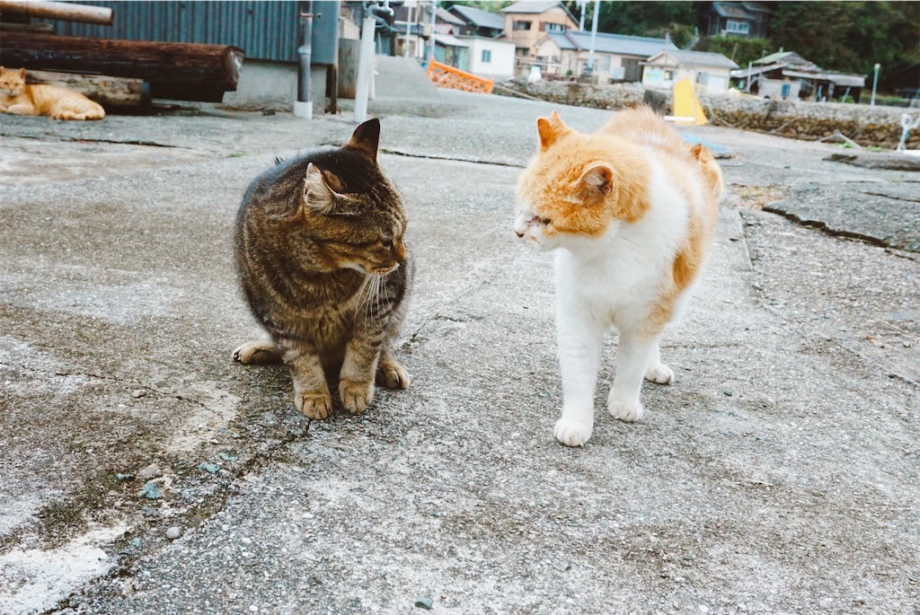 f:id:thedreamplanet:20201008145827j:image