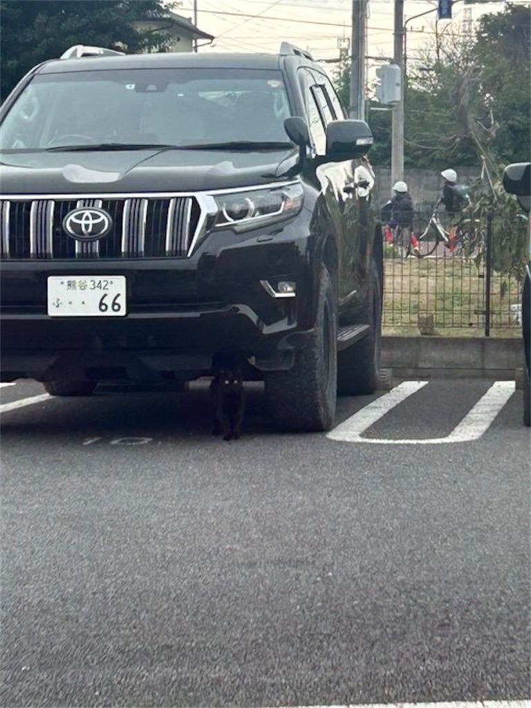 f:id:theftInfo:20240303230534j:image