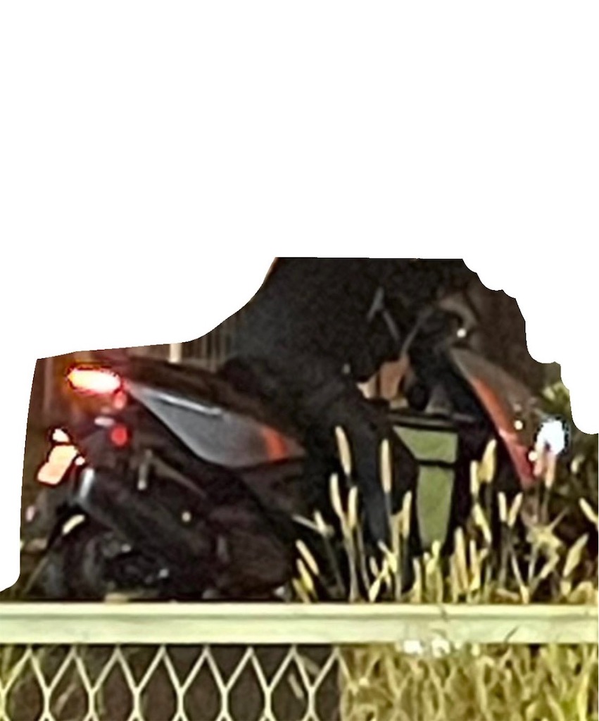 f:id:theftInfo:20241102051136j:image