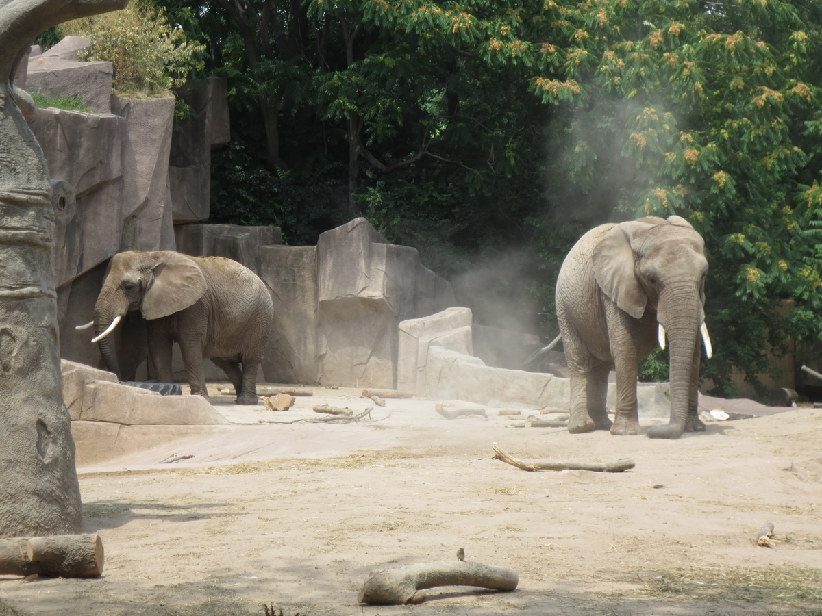 どうぶつ基金 - どうぶつ基金 added a new photo., image size:1200x900